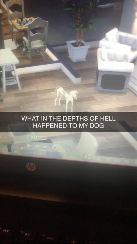 Funny Sims Glitches, Sims 4 Glitches, Sims4 Memes, Sims 4 Dog, Sims Glitches, Aesthetic Sims, Sims Funny, Sims Memes, Dogs Hugging