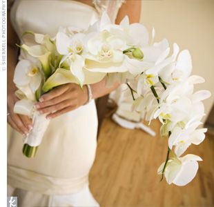 The bride carried phalaenopsis orchids and mini white calla lilies tied together with an ivory satin ribbon. Elegant Wedding Bouquets, Orchid Bouquet, Orchid Wedding, Cascade Bouquet, Hand Bouquet, Diy Wedding Bouquet, Calla Lilies, White Orchids, White Bouquet