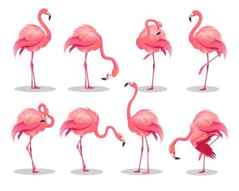 Hand Cartoon, Flamingo Craft, Flamingo Illustration, Pink Flamingos Birds, Simple Flyer, Floral Logo Design, Salon Art, Flamingo Bird, Flamingo Art