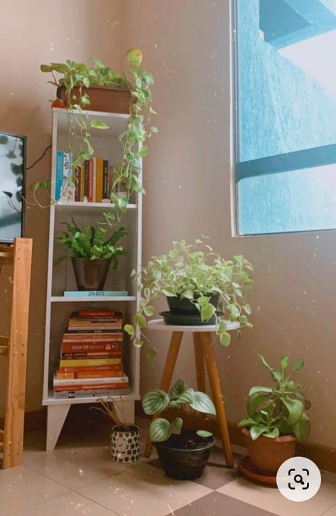 Plant Corner Bedroom, Room Decor With Plants, Boho Plant Decor, Boho Plants, Living Room Wall Decor Ideas, Home Decor Apartment, Room Wall Decor Ideas, Casa Vintage, Dekorasi Kamar Tidur