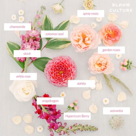 Flower Types - Flower Recipe - DIY Wedding Flowers from Bloom Culture Flowers    #diywedding #diyweddingflowers #weddingflowers #weddingceremony #flowers #flowerrecipe Floral Ceremony Backdrop, Wedding Flower Types, Flower Recipe, Floral Ceremony, Expensive Flowers, Flower Types, Flower Guide, Spring Wedding Flowers, Diy Wedding Flowers