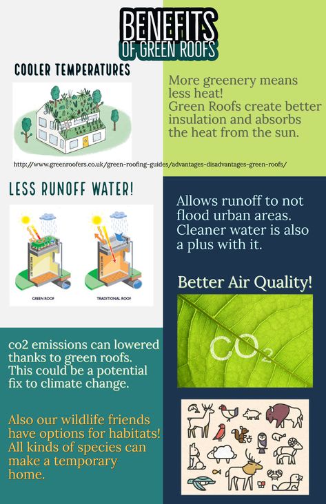 Informative poster about Green Roof benefits. (Project for Class). Green Roof Benefits, Informative Poster, Roof Building, Green Roof Building, Green Roofs, Best Insulation, Air Pollution, Green Roof, Plant Mom