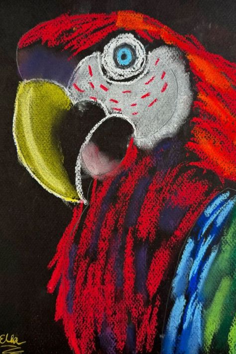 Visit the link to see more chalk pastel parrots created by kids ages 6-13! They are so vibrant and beautiful! Chalk pastels make a statement on black paper. Follow for more art ideas for kids. Glue And Chalk Pastel Art Lessons, Spring Art Ideas For Kids, Pastel Chalk Art Ideas, Pastel Drawing On Black Paper, Chalk Animals, Chalk Pastel Art Ideas, Art With Pastels, Pastel Chalk Art, Pastel Painting Ideas