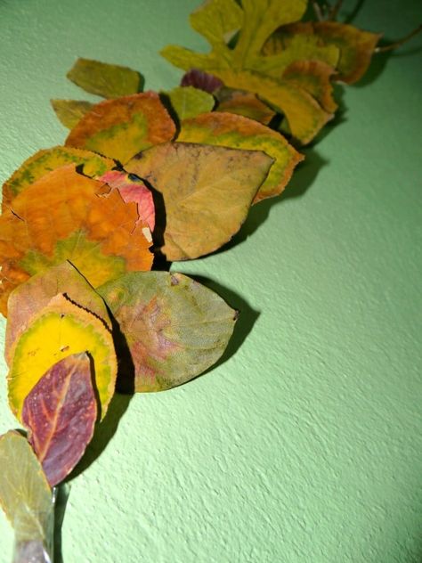 How To Turn Dried Leaves Craft Into The Wall Art - Playtivities Dried Leaves Crafts, Dry Leaf Art Ideas, Dried Leaves Art, Art With Leaves, Kids Cooking Activities, Leaves Craft, Dry Leaf Art, Autumn Leaves Craft, Art Activities For Toddlers