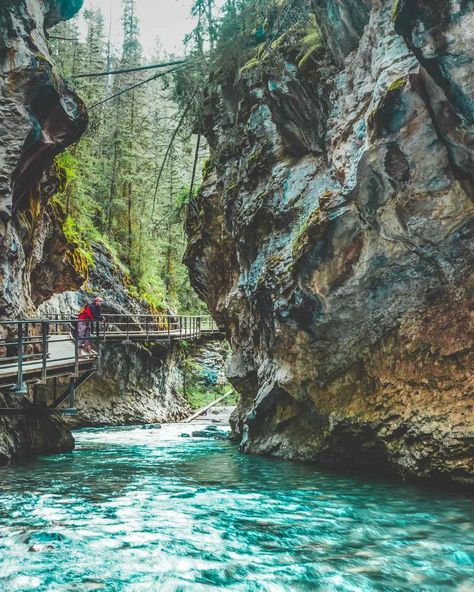 Johnston Canyon Hike: The Absolute Best Hike In Banff, Alberta Canada. Don't miss the gorgeous waterfalls. #AVENLYLANE #AVENLYLANETRAVEL #banff  #banffnationalpark #albertacanada #canada #johnstoncanyonbanff #johnstoncanyon #hike #waterfalls Johnston Canyon Banff, Banff Alberta Canada, Canadian Road Trip, Banff National Park Canada, Alberta Travel, Johnston Canyon, Banff Canada, Banff Alberta, Canadian Travel