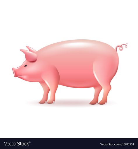 Pig Side View, Side View Drawing, I Cord, Side View, Paper Mache, Transparent Png, Piggy Bank, Png Images, Adobe Illustrator