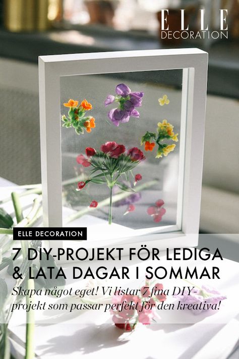 Skapa något eget i sommar! Vi listar 7 inspirerande DIY-projekt som passar perfekt att göra själv om du vill vara kreativ under sommarens lediga dagar. Pressed Flower Crafts, Hemma Diy, Image Notes, Beautiful Coffee, Lots Of Money, Flower Frame, Flower Crafts, Pressed Flowers, Craft Fairs