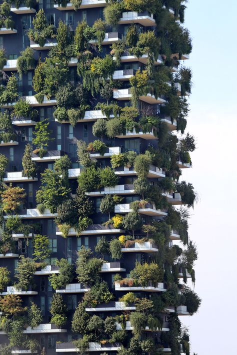 Bosco Verticale Milano by Stefano Boeri Vertical Garden Green Facade Milan Italy Green Skyscraper Green Highrise Vertical Garden Building, Building With Plants, Modern Green House, Green Skyscraper, Eco Brutalism, Stefano Boeri, Vertical Forest, Solar Punk, Green Facade