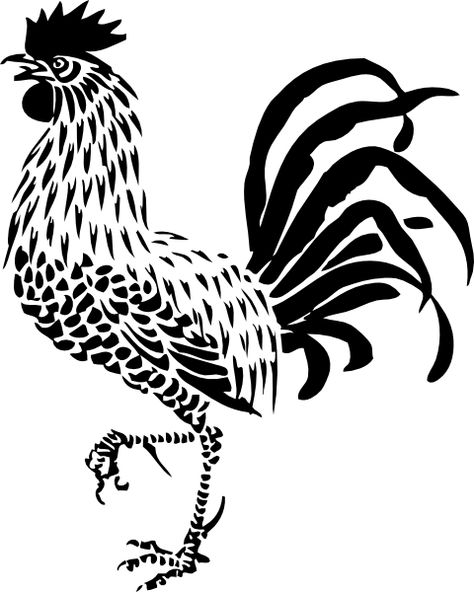 rooster drawing - Google Search Stencil Bird, Rooster Stencil, Stencils Design, Bird Stencil, Damask Stencil, Rooster Art, Design Restaurant, Karim Rashid, Faux Painting