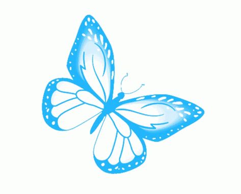 Blue Butterfly Gif, Butterfly Freedom, Blue Butterfly Sticker, Butterfly Gif, Butterfly Blue, Color Celeste, Nature Gif, Blue Butterfly, Animated Gif