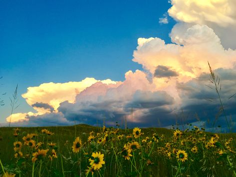 Nebraska Summer Nebraska Sandhills, Fallout, Nebraska, Photo Art, Art