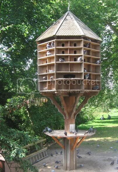 Big Picture Agriculture: Raising Pigeons, and Examples of Pigeon Houses Pigeon Coop, Fantail Pigeon, Pigeon Nest, Pigeon Cage, Dove House, Pigeon House, Homing Pigeons, Pigeon Loft, Bird House Feeder