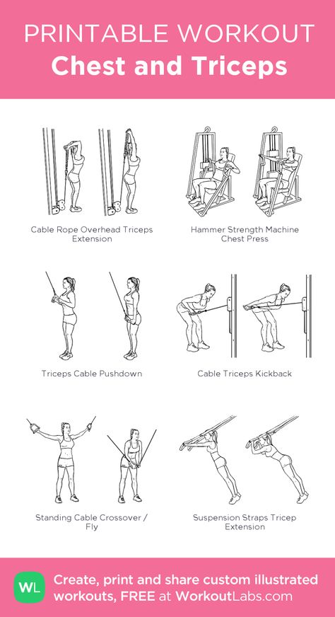 Chest and Triceps : my visual workout created at WorkoutLabs.com • Click through to customize and download as a FREE PDF! #customworkout Cables Chest Workout, Chest And Tricep Workout Cables, Chest And Leg Workout, Chest Cable Workout Women, Chest Workout Women Cables, Cable Chest Workout Women, Cheat And Tricep Workout Gym, Chest And Tricep Workout Women Gym, Chest And Bicep Workout Women