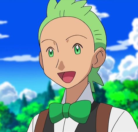 Cilan Pokemon, Pokemon Cilan, Pokemon Black, Pokémon Black And White, Black Pokemon, Gym Leaders, Pokemon Characters, Cartoon Shows, Cilantro