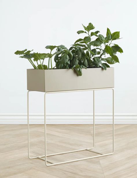 A streamlined plant box set on a metal frame inspires soft, tonal appeal so that you can add plants to any room. Shop these versatile planters. Plant Shelf Ideas, Plants For Planters, Indoor Plant Shelves, String Shelf, Downtown Living, Large Indoor Plants, Small Condo, Balcony Plants, Plant Box