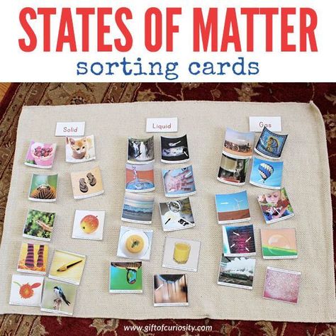 Free printable States of Matter sorting cards for kids to learn about solids, liquids, and gasses. Great science activity for preschool or kindergarten. Science Activity For Preschool, Science Kindergarten, Matter Activities, Second Grade Science, 1st Grade Science, Matter Science, States Of Matter, Science Activities For Kids, Kindergarten Science