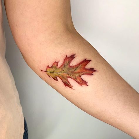 𝗞𝗮𝘁𝗲 𝗦𝘃 | 𝗧𝗮𝘁𝘁𝗼𝗼 𝗔𝗿𝘁𝗶𝘀𝘁, LA on Instagram: “Red oak leaf for Emi @emikatrinamaminababina ▪️▪️▪️▪️▪️▪️▪️▪️▪️▪️▪️▪️▪️▪️ For custom designs and bookings email me katesv.art@gmail.com…” Red Oak Leaf Tattoo, Red Leaf Tattoo, Sv Tattoo, Oak Tree Leaf Tattoo, Oak Leaf Tattoo, Oak Leaf Tattoos, Net Tattoo, Quill Tattoo, Acorn Tattoo