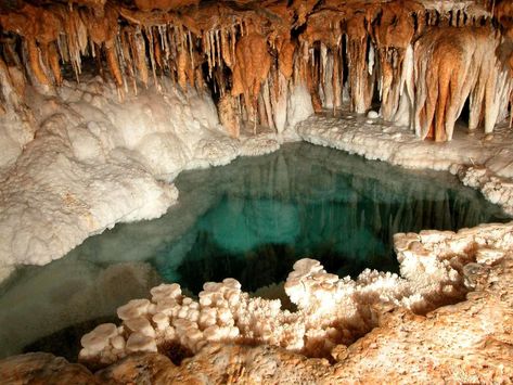 Spelunk! Must-See Caves At Lake Of The Ozarks | Lake of the Ozarks Community News | lakeexpo.com Missouri Caves, Lake Of The Ozarks, Cave Tours, Warrior Cat Oc, The Ozarks, Drawing Exercises, Theatre Design, The Cave, Round Trip