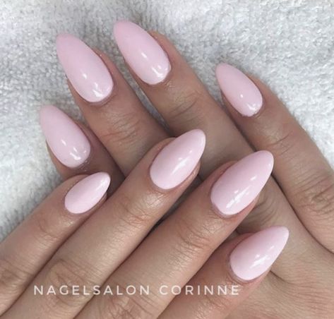 Trending Nail Extension Designs 2023, Ballet Pink Acrylic Nails, Simple Almond Nails Designs Pink, Pale Pink Oval Nails, Plain Round Nails, Pale Pink Dip Nails, Light Pink Oval Acrylic Nails, Pail Pink Nails, Oval Light Pink Nails