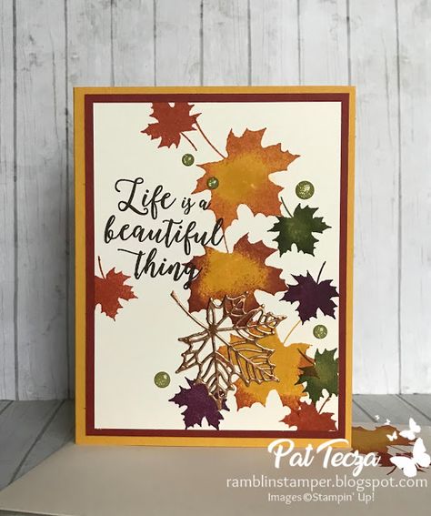 Colorful Seasons Stampin Up Colorful Seasons, Ohio Fall, Autumn Greetings, Fall Cards Handmade, Thanksgiving Cards Handmade, Carte Halloween, Thanksgiving Card, Stampin Up Project, Leaf Cards