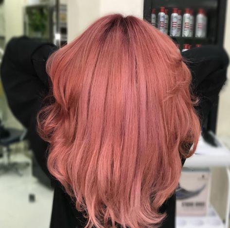 Pop Of Color Rose Gold Hair Color Ideas Dark Rose Gold Hair, Rose Gold Hair Colour, Rose Gold Hair Color Ideas, Gold Hair Color Ideas, Rose Gold Hair Color, Gold Hair Color, Hair Colors Ideas, Trendy Updos, Gold Hair Colors