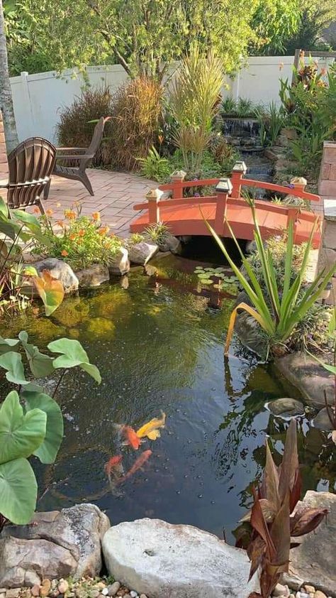 Diy Ponds Backyard, Kolam Air, Fish Pond Gardens, Landscape Garden Design, Garden Pond Design, Diy Pond, Small Pond, Diy Garden Fountains, Garden Waterfall