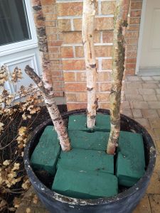 This is not how I do it but everyone should do this kind of thing in the cold months!!! It's really brightens up your pots!! Porch Pot Ideas, Winter Christmas Decorations, Outdoor Holiday Planters, Outdoor Christmas Planters, Christmas Urns, Holiday Planter, Winter Planter, Christmas Pots, Winter Porch