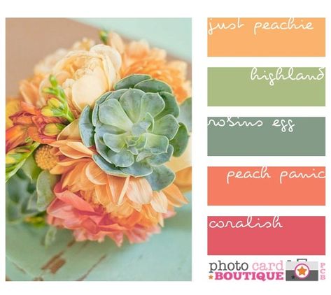 Colors w/ copper accents Peach And Green, Color Palate, Colour Schemes, Color Pallets, Color Swatches, Room Colors, Color Theory, Color Themes, Pretty Colours