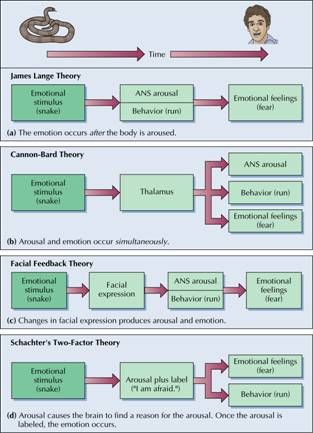 Theories of emotion Eppp Study Material, Eppp Exam Psychology, Social Work Theories, Social Work Exam, Teaching Psychology, Biochemistry Notes, Phd Psychology, Doctor Life, Ap Psych