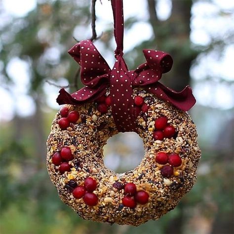 Handmade Christmas Yard Decorations, Winter Wreath Bird Feeders Birdseed Wreath, Winter Bird Feeders, Bird Seed Ornaments, Bird Feeder Craft, Bird Seed Feeders, Homemade Bird Houses, Homemade Bird Feeders, Bird Treats, Birdhouse Designs