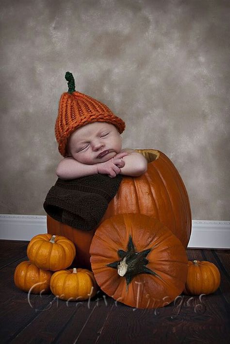 Fall Newborn Pictures, Fall Baby Photos, Fall Newborn, Fall Baby Pictures, Meridian Mississippi, Photo Bb, Pumpkin Pictures, Newborn Photography Boy, Anne Geddes