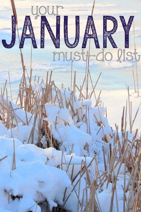 Don't miss out on these must-do activities this January! You can beat the winter chill and still get some exciting things accomplished as the new year begins. | bucket list | important to-do ideas | january guide | winter ideas | Vern Yip, January Activities, Winter Bucket List, Winter Ideas, Activities For Adults, Boredom Busters, Snowy Day, New Years Day, Fashion 2024