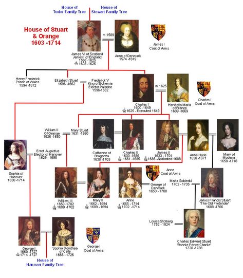 House of Stuart Family Tree | Britroyals Family Tree House, British Royal Family Tree, Royal Family History, House Of Stuart, Royal Family Trees, Scotland History, Genealogy Chart, Uk History, Tudor History