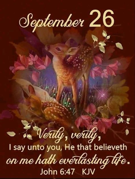 #14762 #Sept26 2019 #John6v47 KJV #DailyBlessing www.facebook.com/Judiann.F John Verses, Life Hacks Pictures, December Scriptures, September Images, Heaven Pictures, Morning Time, Bible Verses About Faith, Funny Good Morning Quotes, Bible Study For Kids