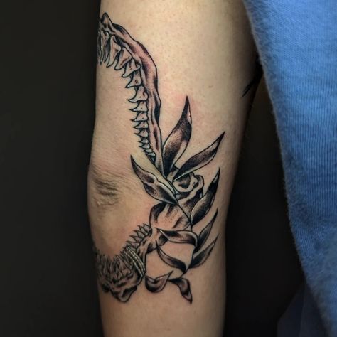 Super cool shark jaw around Erin's elbow! I absolutely love this. So badass, but still elegant 🦈 thank you for the trust! Shark Elbow Tattoo, Shark Jaw Tattoo Inner Elbow, Shark Mouth Elbow Tattoo, Shark Mouth Tattoo Knee, Shark Jaw Traditional Tattoo, Shark Jaws Tattoo Elbow, Shark Jaw, Elbow Tattoo, Shark Mouth