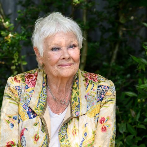 ‘I can’t even see’: Judi Dench suggests retirement from acting due to blindness Barbara Flynn, Altered Photo, Judi Dench, Academy Award Winners, Travel Money, Acting Career, John Cena, Film Books, Tv On The Radio