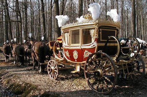 Medieval Carriage Royal, Reign Series, Royal Carriage, Era Dresses, Chinese Empress, Medieval Horse, Fantasy Story Ideas, Horse Drawn Carriage, Armor Drawing