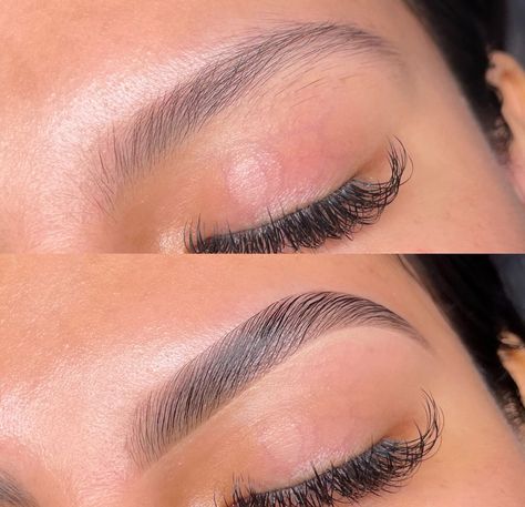 Eyebrow Tint Before And After, Thick Straight Eyebrows, Eyebrow Waxing Shape, Brow Tint And Lamination, Eyebrows Arched, Brow Wax And Tint, Brow Lamination And Tint, Brows Shaping, Brows Done