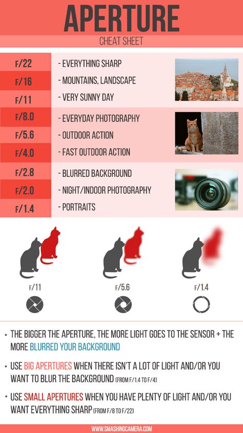 75 300mm Lens Tips, Indoor Pet Photography, Sony A7 Iv Photography, Nikon 7500, Aperture Cheat Sheet, Photography Notes, Beginner Photography Camera, Sony A7iv, Pet Photography Tips