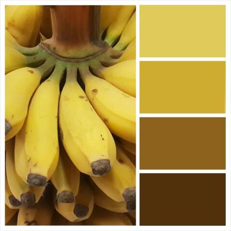 Banana Color, Banana Yellow, Color Boards, Watercolor Paintings Tutorials, Painting Tutorials, Colour Board, Color Combo, Painting Tutorial, Colour Palette