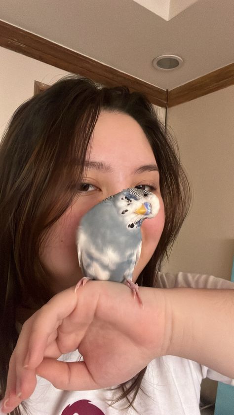 #birds #selfietime #budgies #parakeet #cutecore #cute Budgies Bird Aesthetic, Pet Budgie Aesthetic, Budgies Aesthetic, Cute Pet Birds, Bird Pet Aesthetic, Pet Bird Aesthetic, Budgie Aesthetic, Cute Budgies, Budgie Cage