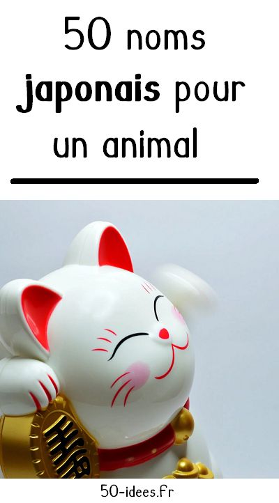 Noms japonais pour un animal Art Japonais, Piggy Bank, Nom Nom, Coco, The Originals, Animals, Anime, Art