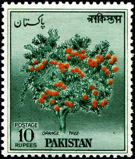 Pakistan Stamp, Old Pakistan, Vintage Pakistan, Pakistan Art, Mythical Animals, South Asian Art, Old Stamps, Postage Stamp Art, Orange Tree