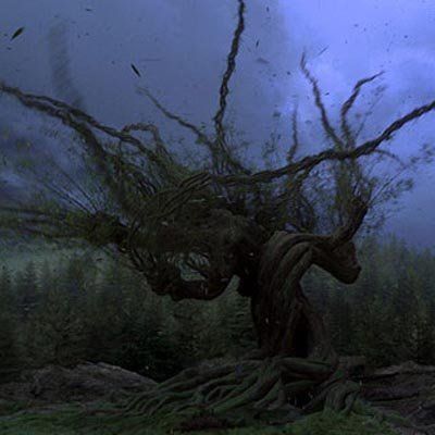 whomping willow on grounds of hogwart's school of witchcraft and wizardry, harry potter and the prisoner of azkaban, by jk rowling Whomping Willow Aesthetic, The Whomping Willow, Willow Movie, Shifting Methods, Whomping Willow, Dorm Aesthetic, Magical Beings, School Of Witchcraft, The Prisoner