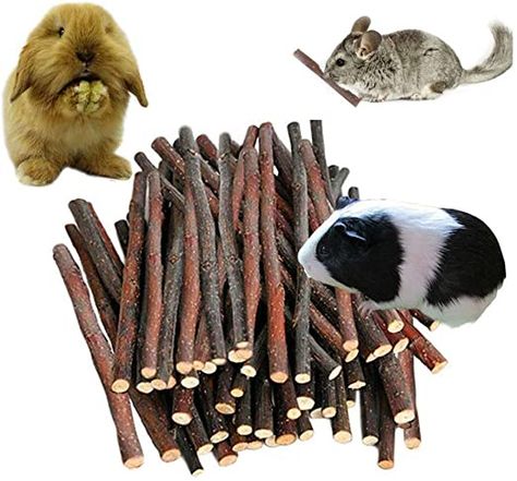 Petawi 120PCS Organic Apple Wood Chew Sticks Toy for Rabbit Chinchilla Bunny Guinea Pig Chew Toys and Accessories Ideal Pet Supplies for Rodents Teeth Cleaning: Amazon.ca: Pet Supplies Rabbit Enclosure, Chinchillas, Cheap Toys, Guinea Pig, Rabbit Care, Small Animal Supplies, Natural Toys, Hamsters, Rabbit Toys