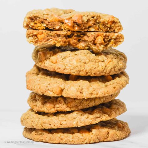 Biscoff Oatmeal, Anise Biscotti, Biscoff Cookie Butter, Biscoff Cookies, Butterscotch Chips, Cooking Hacks, Cookie Tray, Family Recipe, Easy Cookie Recipes