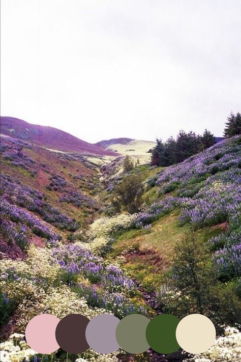 Olive Green Purple Color Scheme, Purple Gray Green Color Palette, Moorland Colour Palette, Dark Grey And Green Color Palette, Lilac And Sage Color Palette, Rustic Spring Color Palette, Lilac And Brown Aesthetic, Wild Flower Colour Palette, Purple Earthy Aesthetic