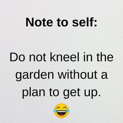 Garden Quotes Funny, Potato Planting, Quotes Funny Humor, Laugh Till You Cry, Gardening Humor, Garden Works, Garden Quotes, It Goes On, Tea Bags