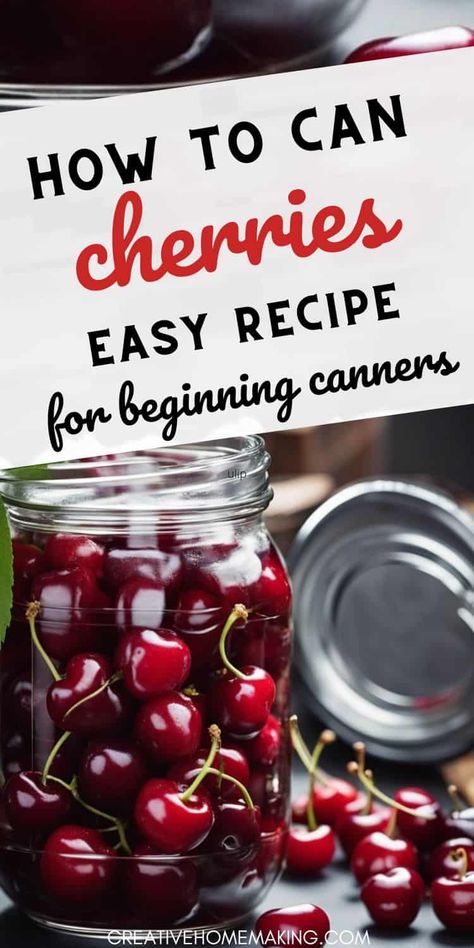 Learn how to can cherries at home with these simple and delicious recipes. Stock up on this versatile fruit and add a burst of flavor to your favorite dishes! How To Can Cherries, Recipes With Canned Cherries, Canning Cherry Juice, Can Cherries, Canning Cherries, Cherry Lemonade, Bing Cherries, Canned Cherries, Cherry Recipes