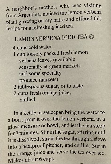 Lemon Verbena Iced Tea ( June 1993 ) Lemon Verbena Benefits, Lemon Verbena Uses, Lemon Verbena Plant, Produce Market, Steeped Tea, Lemon Verbena, Tea Blends, Orange Juice, Iced Tea